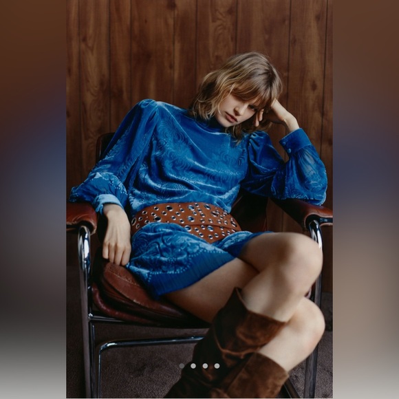 Anthropologie Dresses & Skirts - Anthropologie x Farm Rio Puff Sleeve Velvet Mini Dress | S | NWT